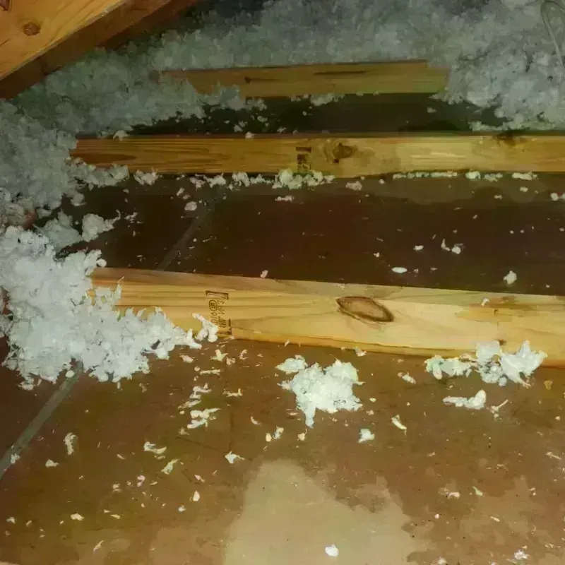 Attic Water Damage in Cleburne, TX