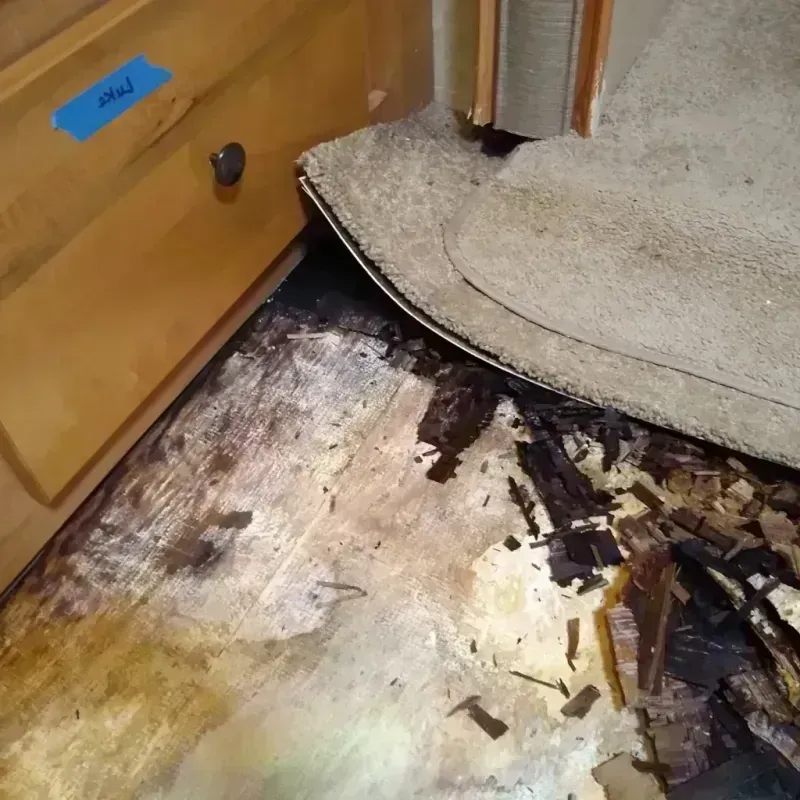 Wood Floor Water Damage in Cleburne, TX